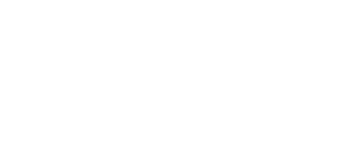 Adana Detailing — Exclusive Car Care